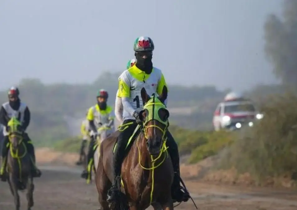 Cbspuyumnwlgidsatfdj91glzebylv4u0pbcbkvg