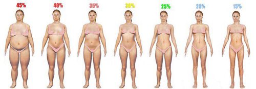 Zone Body Fat Calculator: Measure Lean Body Mass & Fat Weight