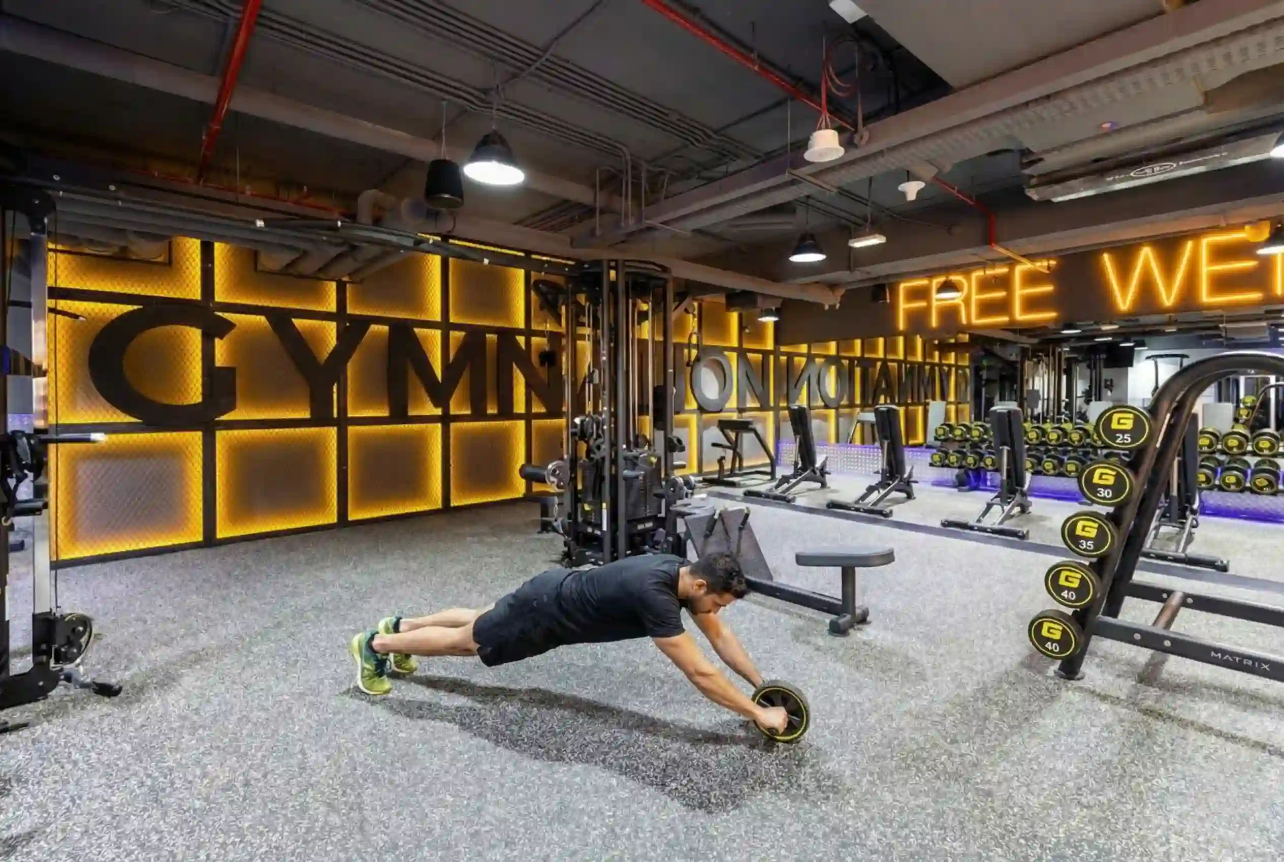 Standing Wheel Rollout