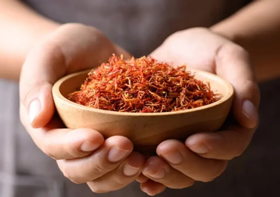 شخص يمسك وعاءً خشبياً مليئاً بتويجات العصفر المجففة، مما يوحي بفوائد العصفر للنساء، متى يفيد، ومتى يجب الحذر.