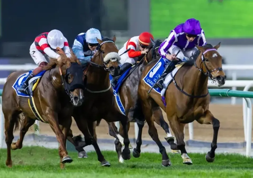 قرعة كأس دبي العالمي تشعل الصراع على اللقب الأغلى في سباقات الخيل