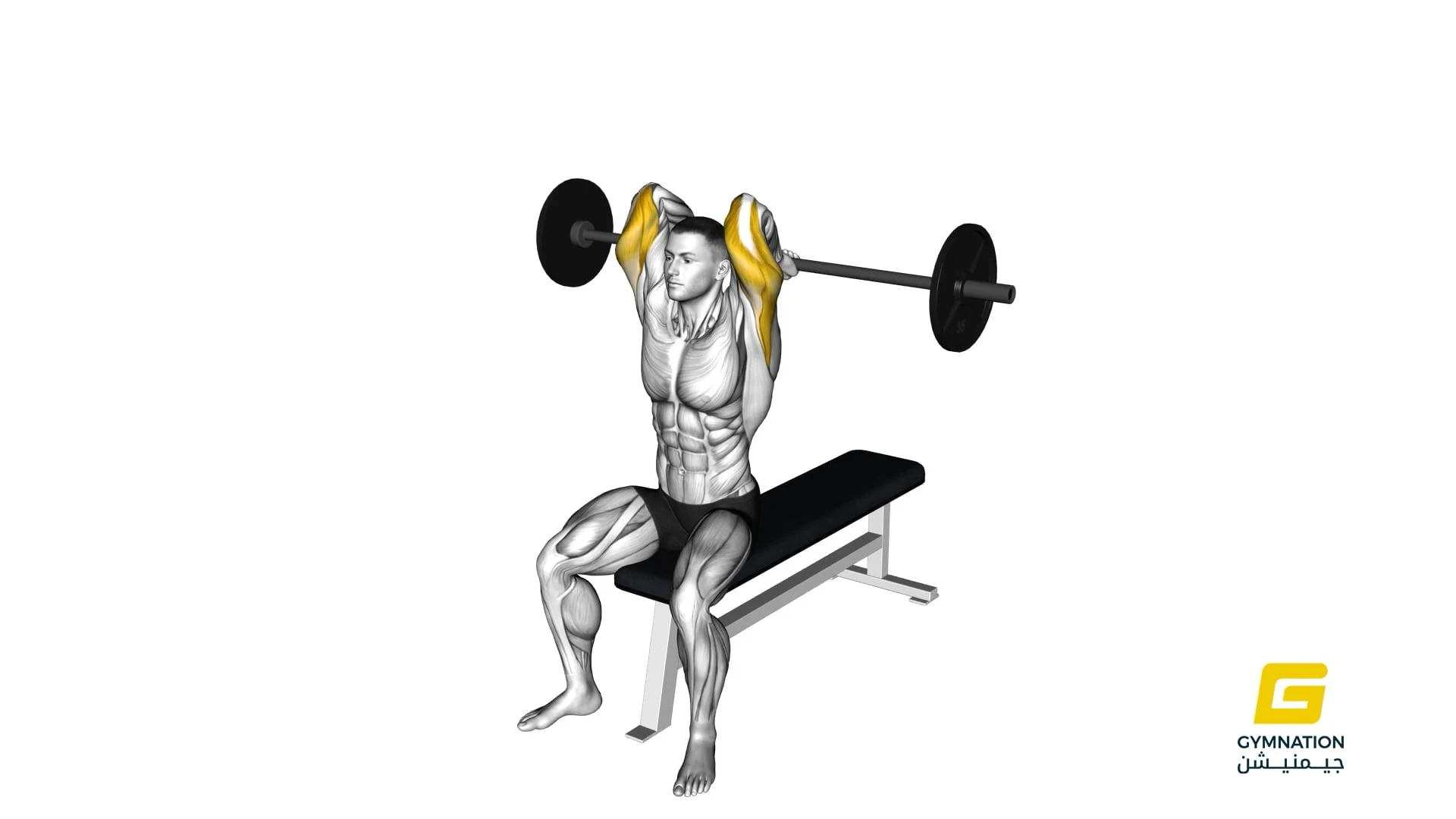 Barbell Seated Overhead Triceps Extension Thumb