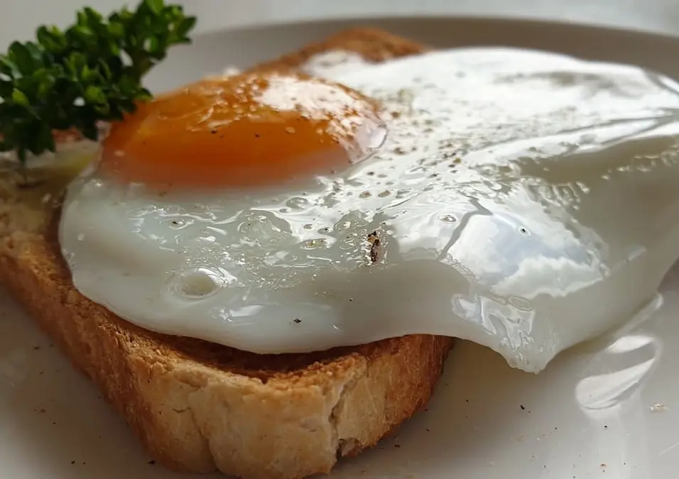 بيضة مقلية مطهوة بشكل مثالي على قطعة خبز توست مع غصن بقدونس، تستكشف السعرات الحرارية والقيمة الغذائية للبيض.