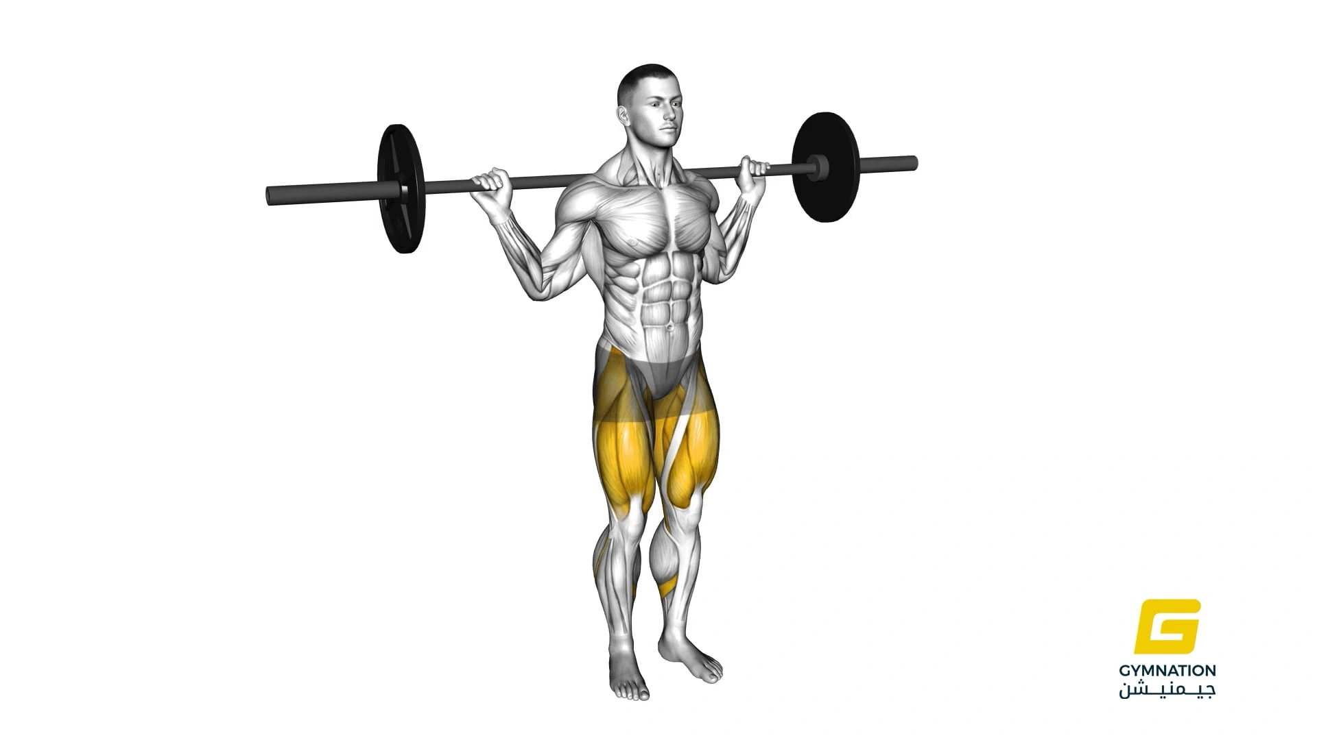 Barbell Curtsey Lunge Thumb