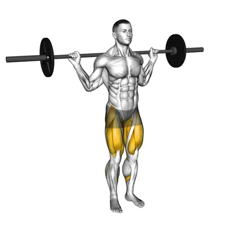 Barbell Curtsey Lunge Thumb