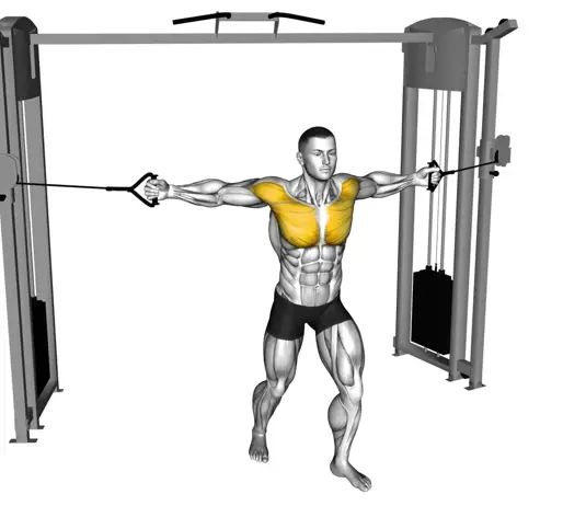 Cable Middle Fly Thumb