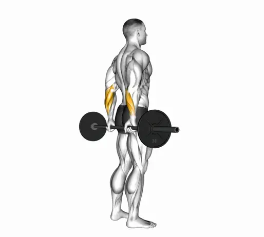 Barbell Standing Back Wrist Curl Thumb