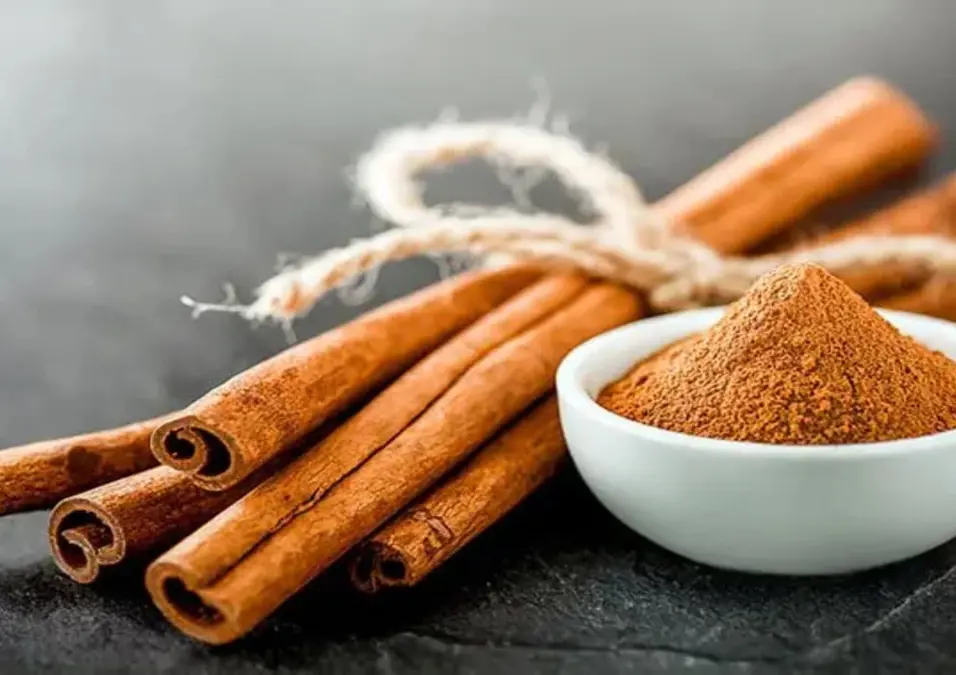 وعاء أبيض صغير من القرفة المطحونة بجوار حزمة من أعواد القرفة مربوطة بخيط، مما يوحي بدورها في التنحيف مع ذكر طرق الاستخدام والوقت المناسب لتناولها.