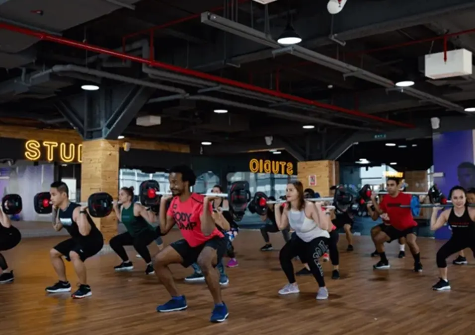 Wellfit 4