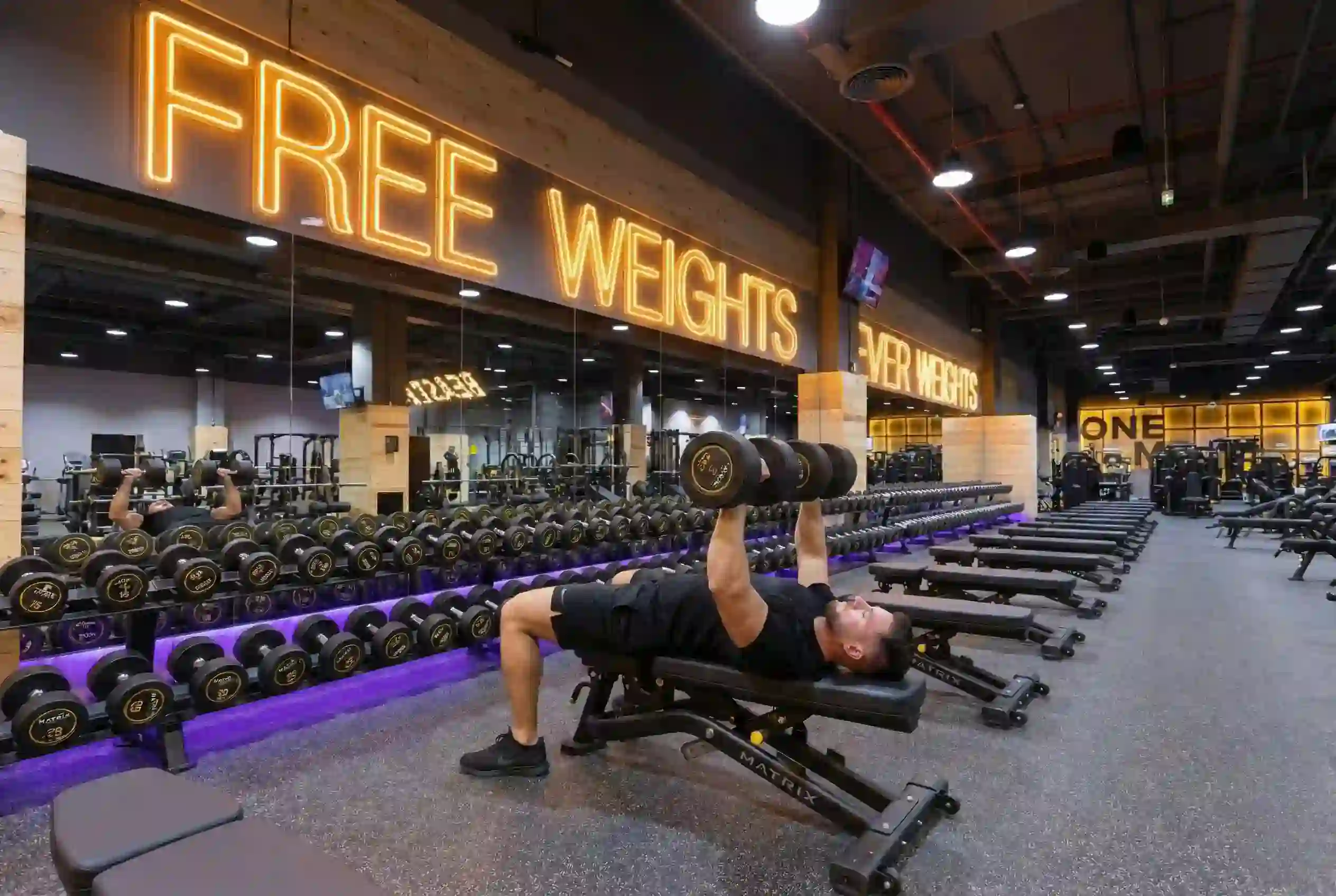 Flat Dumbbell Bench Press Angle