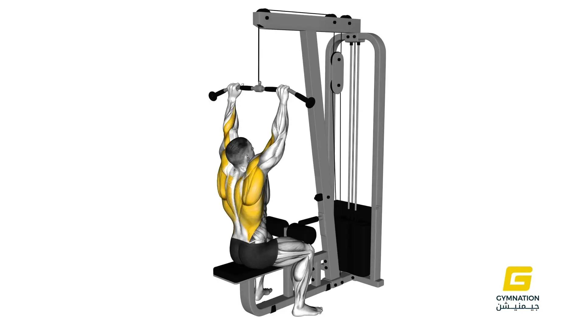 Cable Pulldown Thumb