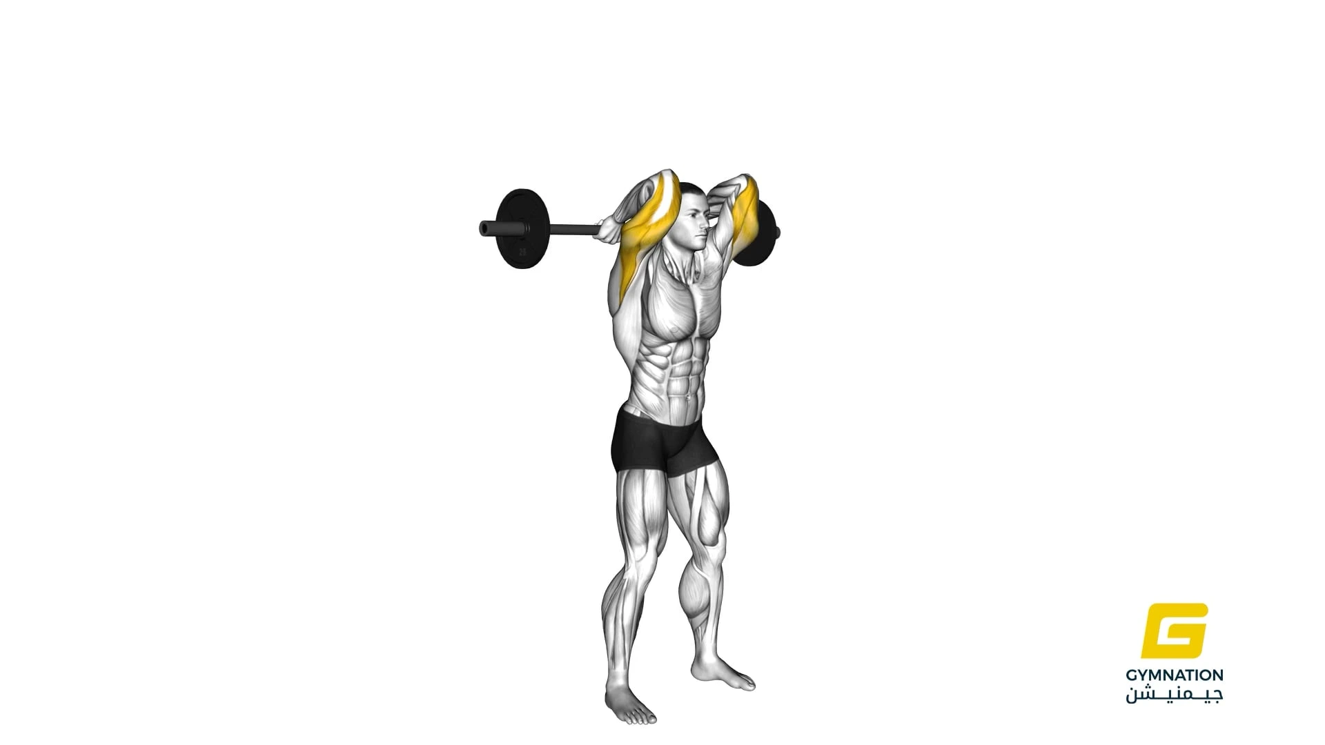 Barbell Standing Overhead Triceps Extension Thumb