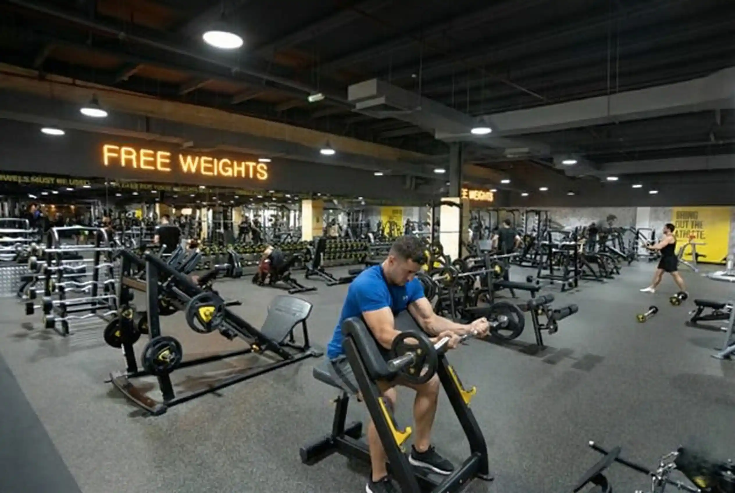 Barbell Preacher Curl