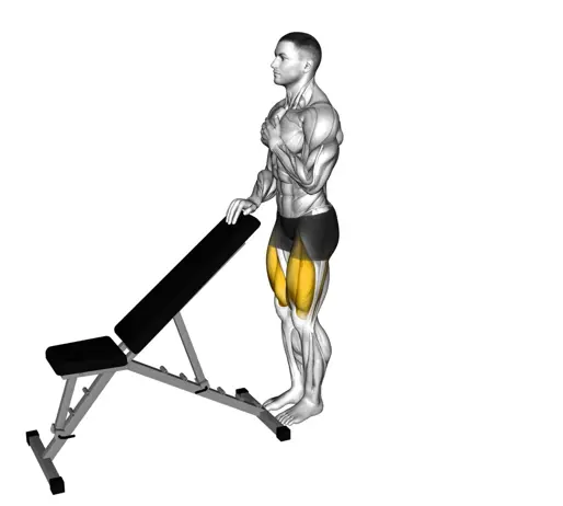 Sissy Squat Bodyweight Thumb