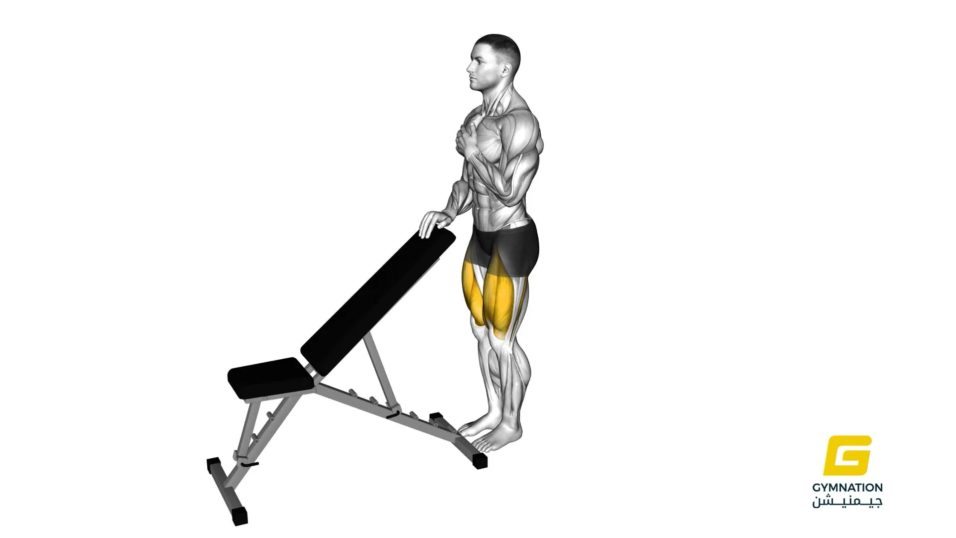 Sissy Squat Bodyweight Thumb