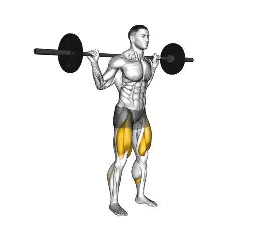 Barbell Quarter Squat Thumb