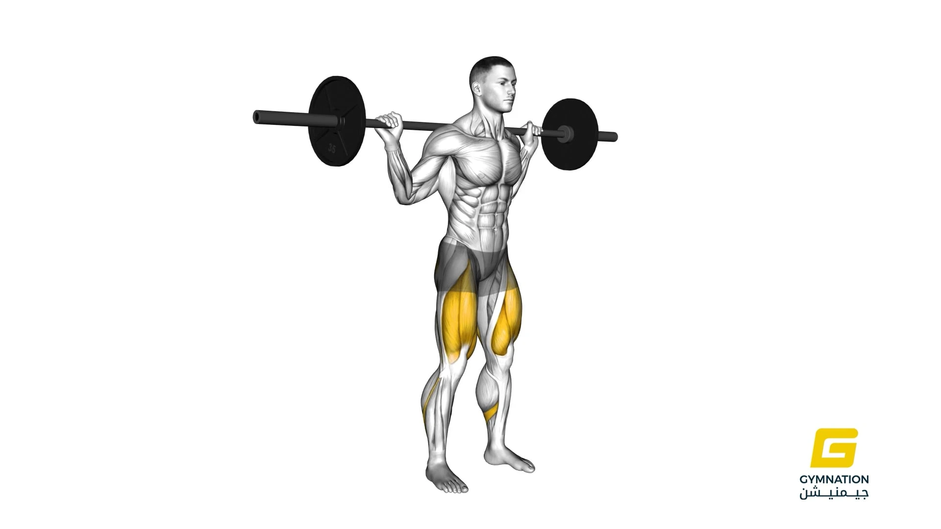 Barbell Quarter Squat Thumb