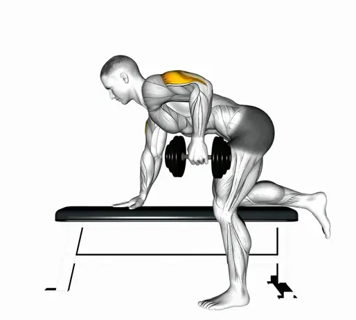 Dumbbell Kickback. Thumb