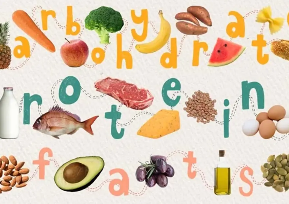 Nutrition Basics 960 X 540