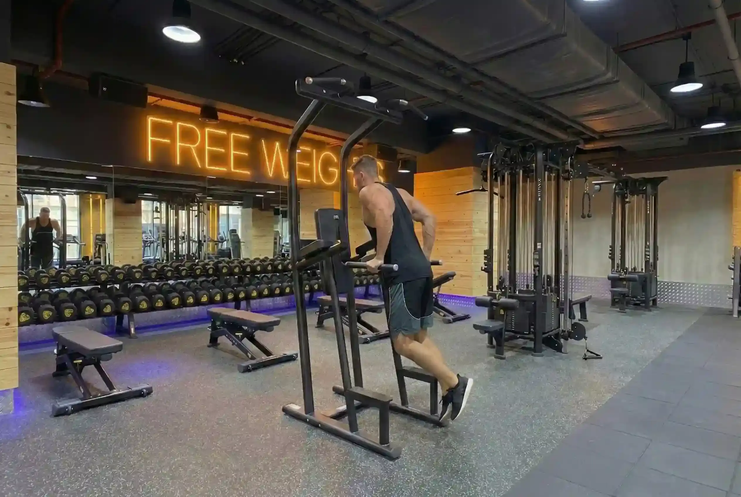 Chest Dip