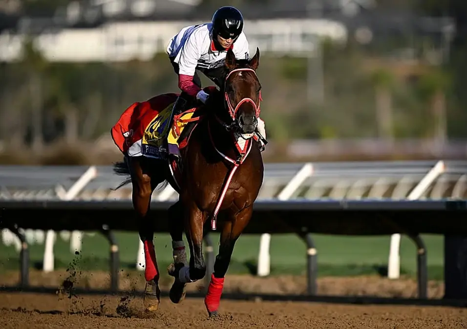 كأس دبي العالمي 2026 151 خيلاً في قائمة ترشيحات استثنائية للنسخة الثلاثين