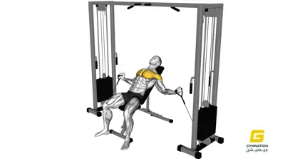 Cable Incline Fly Thumb
