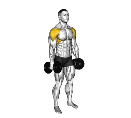 Dumbbell Lateral Raise Thumb