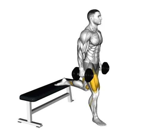 Dumbbell Single Leg Split Squat Thumb
