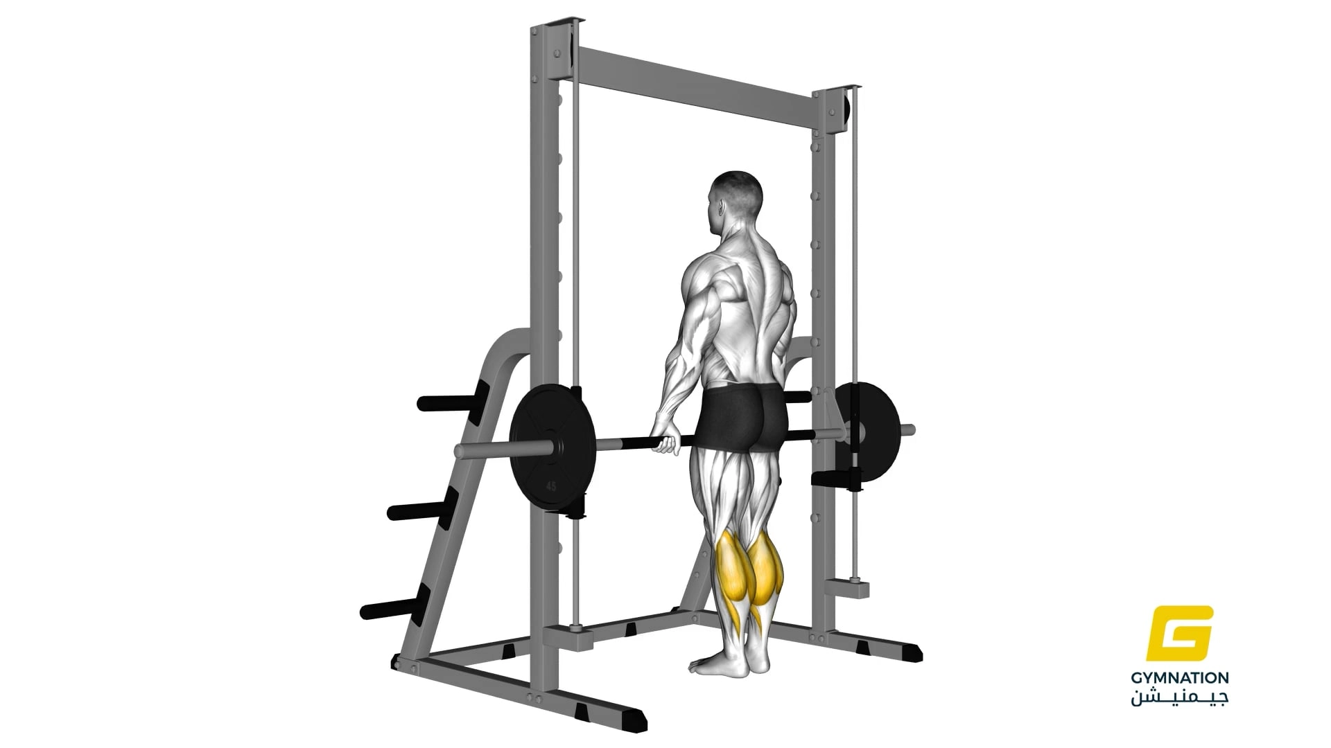 Smith Standing Leg Calf Raise Thumb