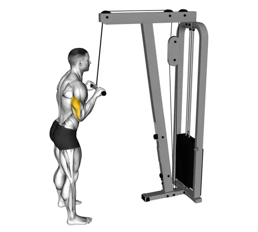 Cable Pushdown Thumb
