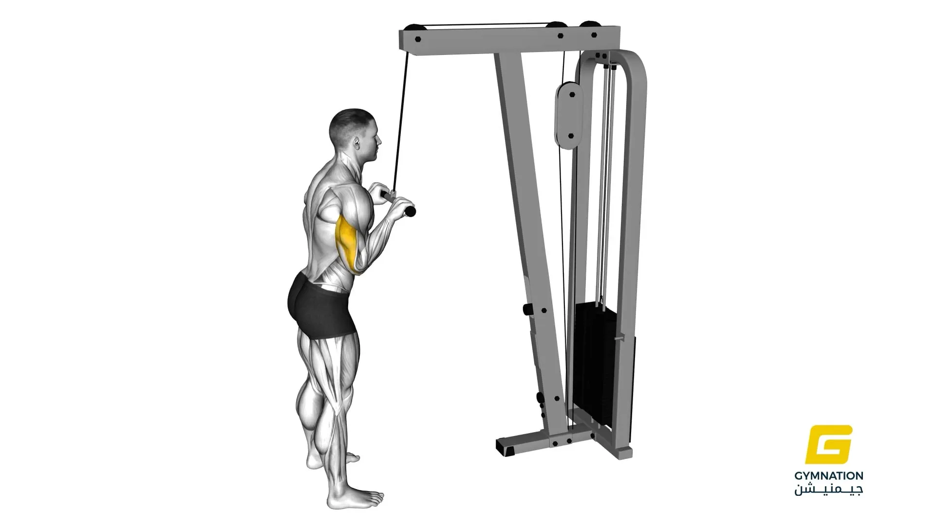 Cable Pushdown Thumb