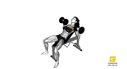 Dumbbell Incline Bench Press For Ladies Thumb