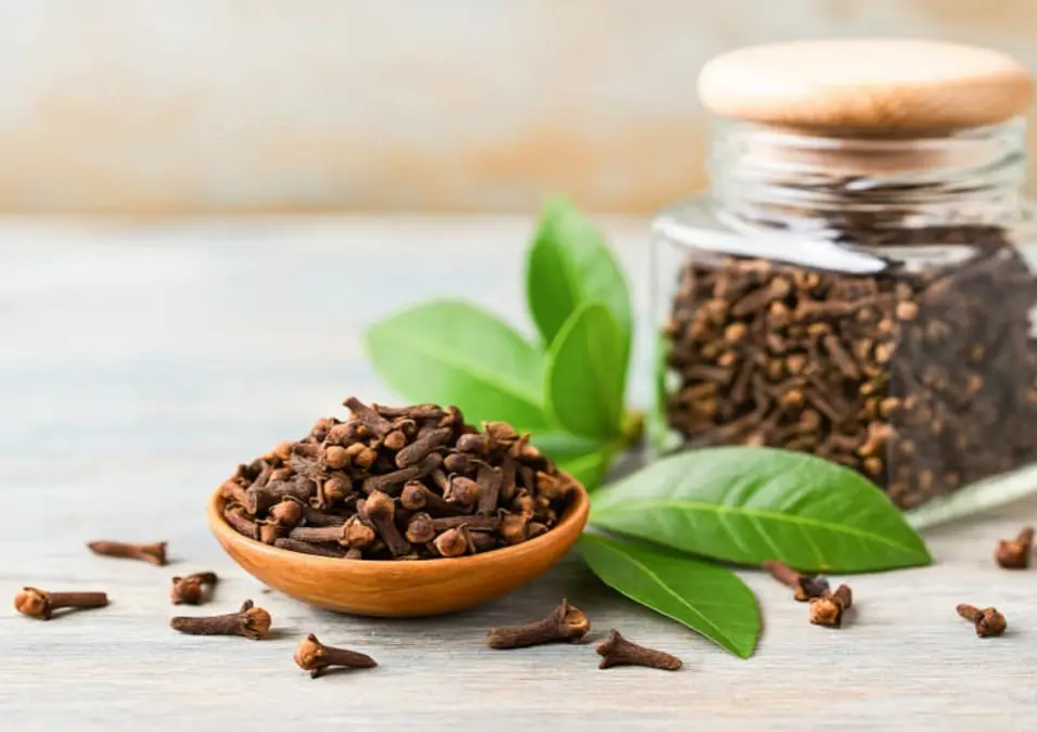 وعاء خشبي صغير مليء بالقرنفل، ترافقه أوراق خضراء ومرطبان زجاجي مملوء بالقرنفل في الخلفية، مما يوحي بدليل شامل لفوائده الصحية وأضراره المحتملة.