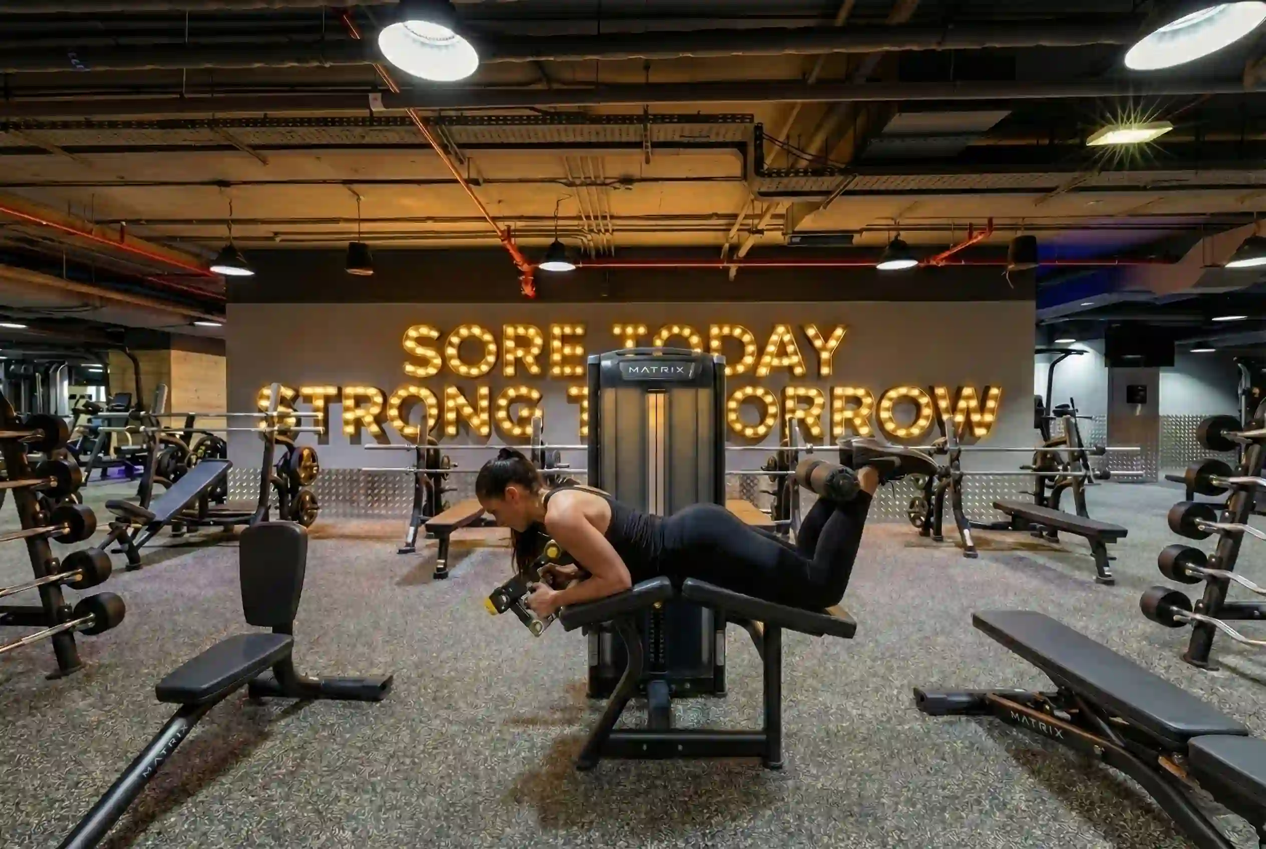 Lever Lying Leg Curl