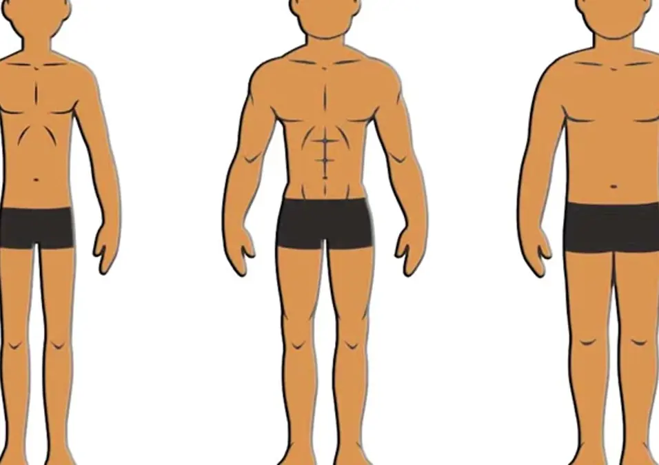 Whats Your Body Type