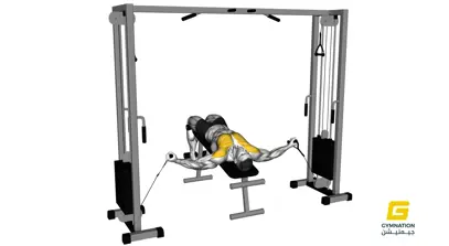 Cable Decline Fly Thumb