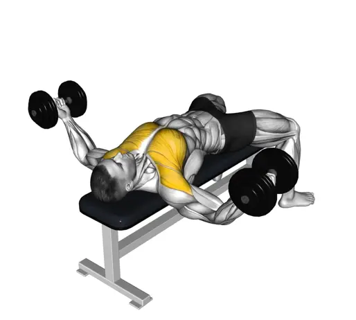 Chest Fly Thumbnail