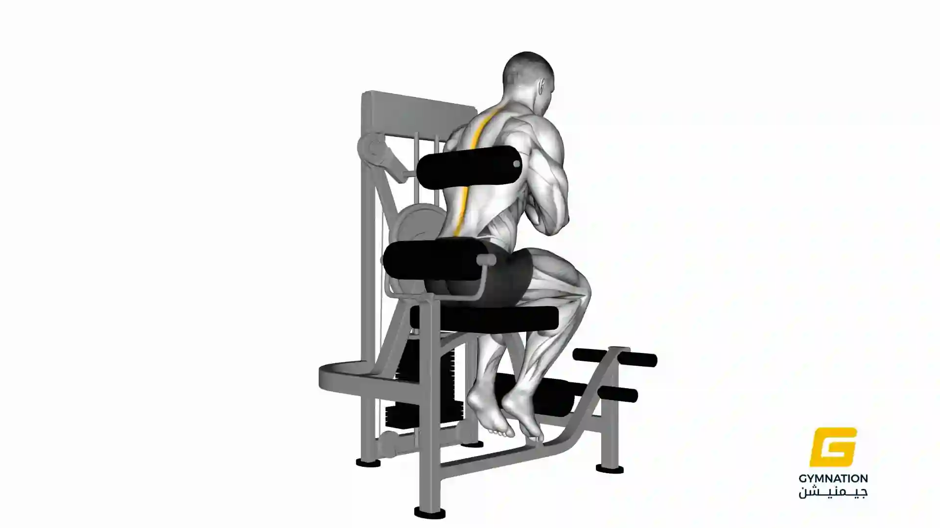 Lever Back Extension Thumb