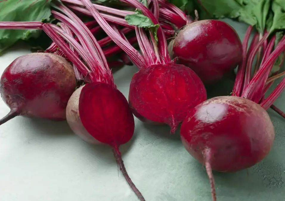 مجموعة من حبات الشمندر الكاملة والمقطعة أنصافاً مع سيقانها الحمراء الطويلة، توحي بفوائد الشمندر للمعدة والقولون في تهدئة الهضم وتقليل الغازات.