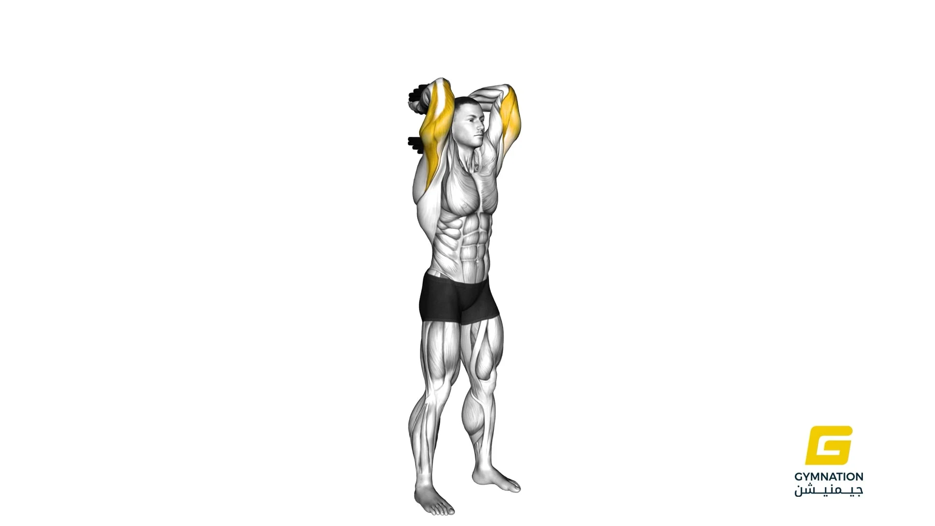 Dumbbell Standing Triceps Extension Thumb