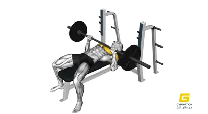 Barbell Bench Press Thumbnail