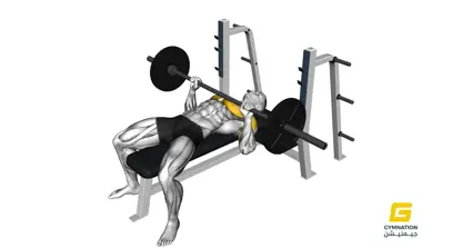 Barbell Bench Press Thumbnail