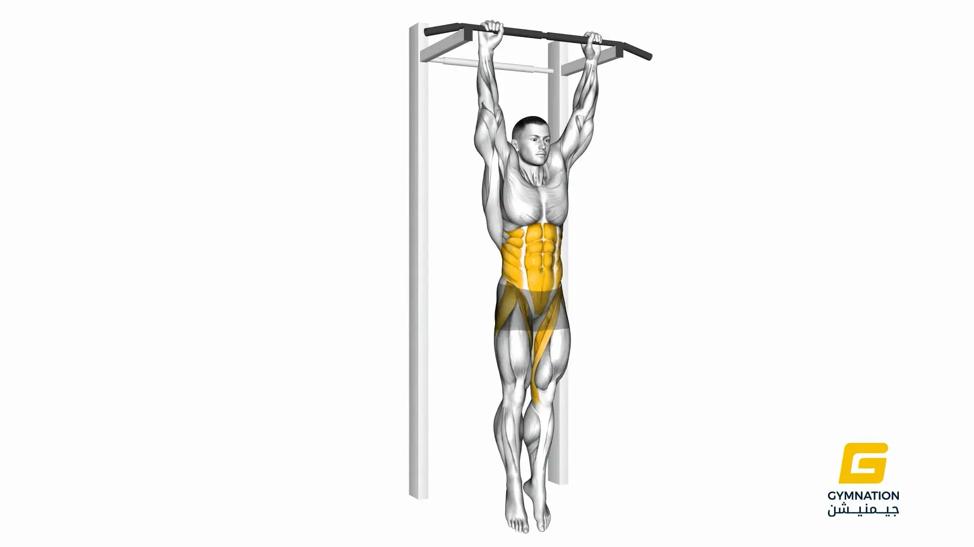 Hanging Leg Hip Raise Thumb