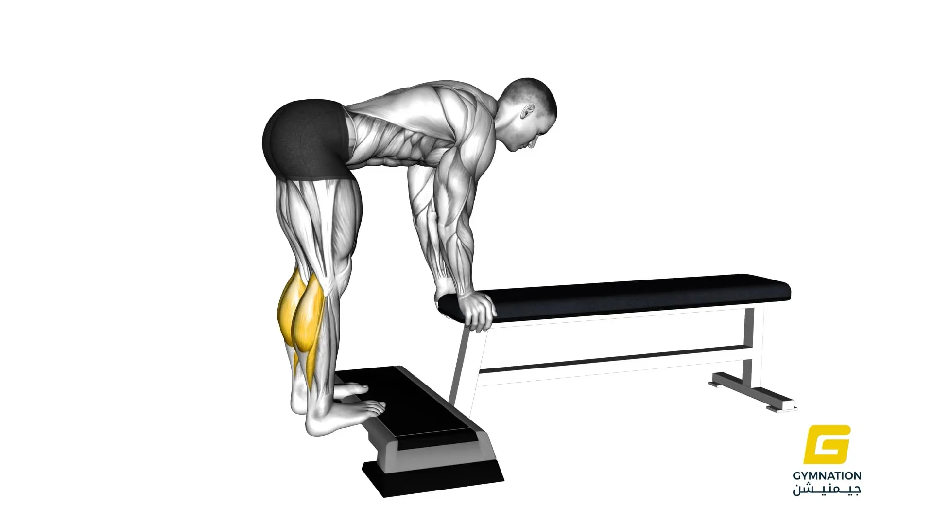 Donkey Calf Raise Thumb