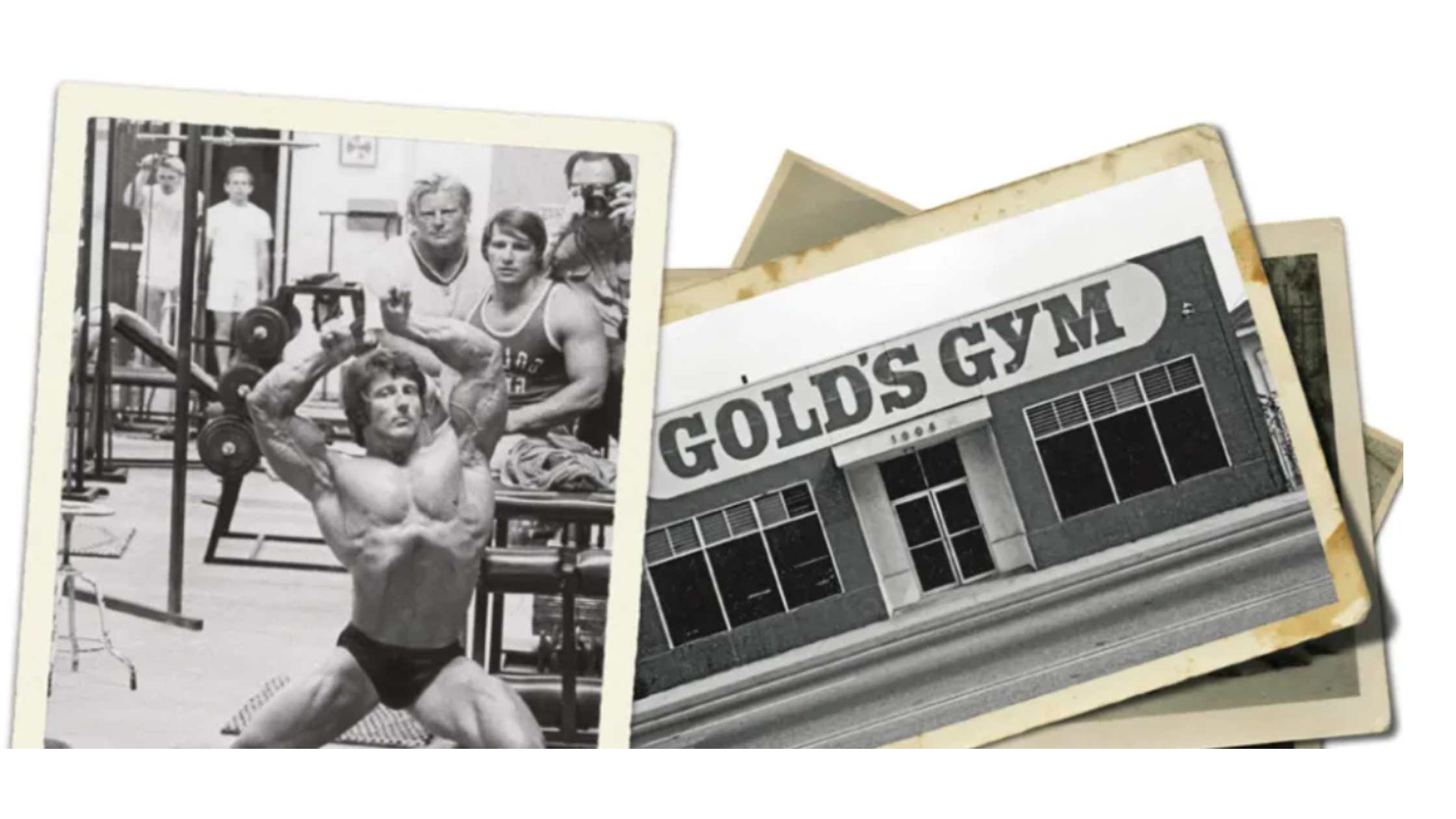 Golds Gym