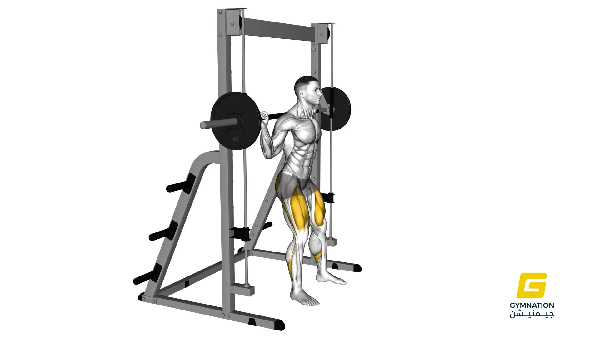 Smith Chair Squat Thumb