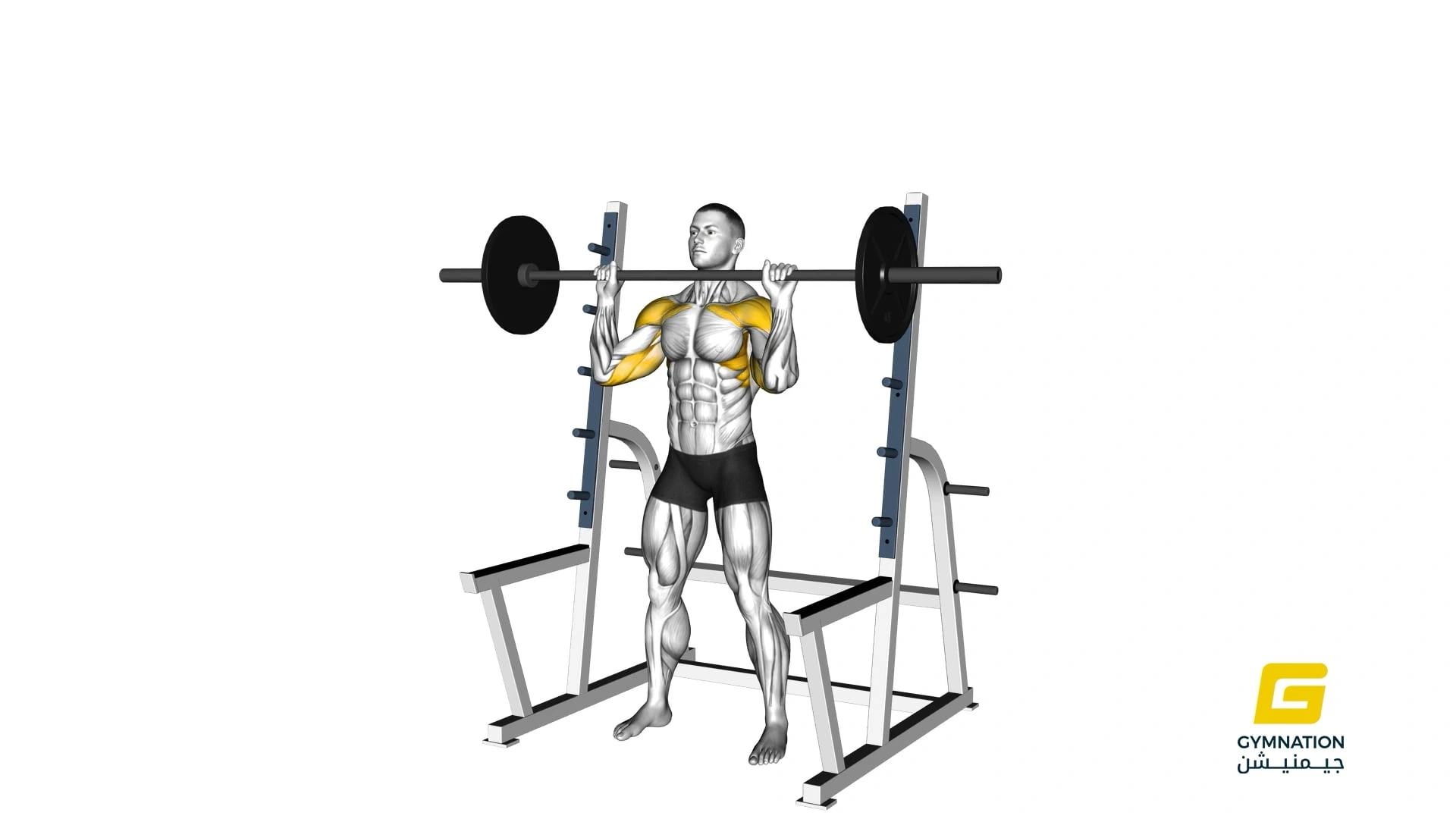 Barbell Standing Military Press Thumb