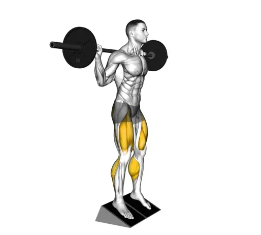 Barbell Elevated Heel Squat Thumb