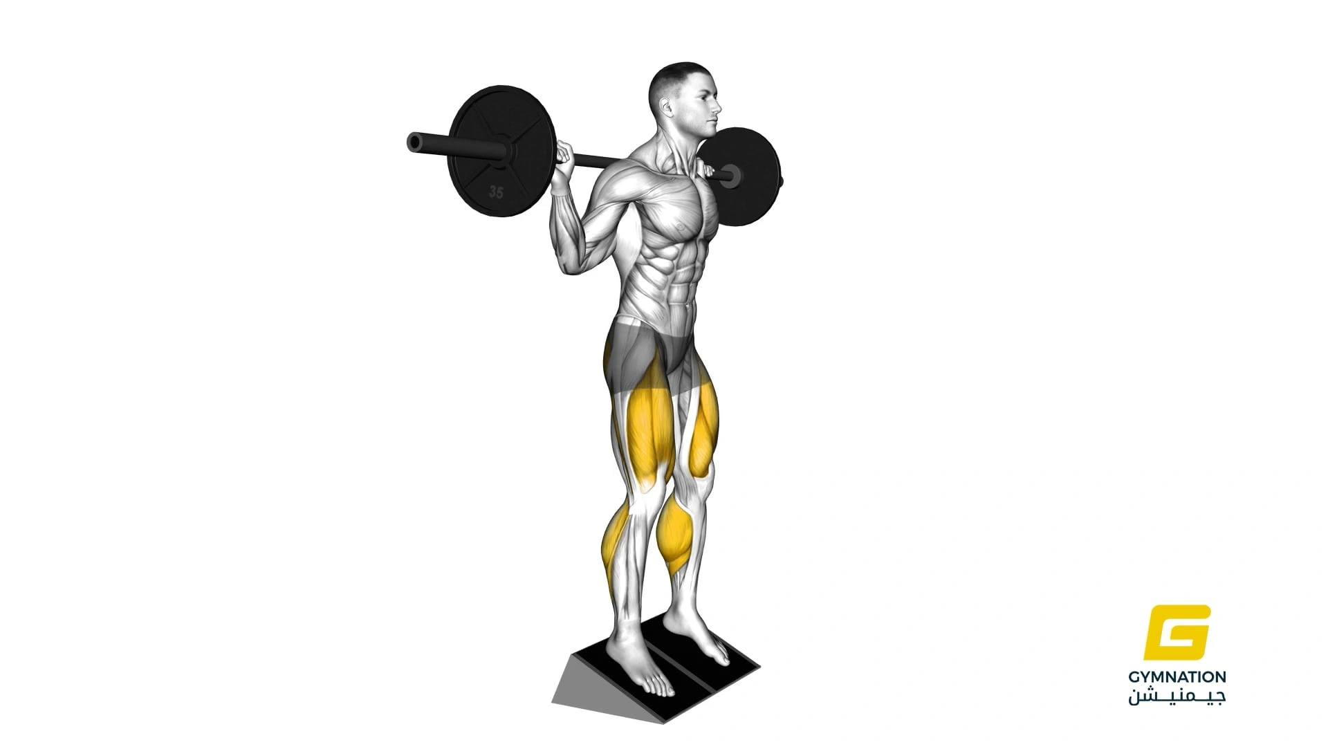 Barbell Elevated Heel Squat Thumb