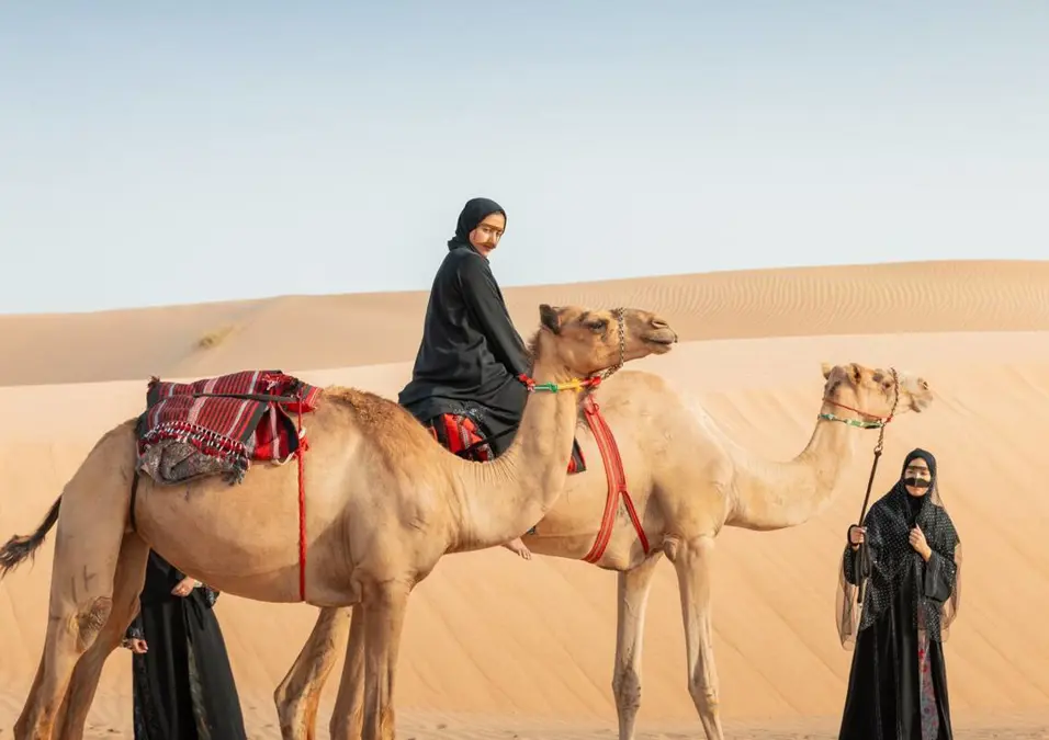 Camels in the desert